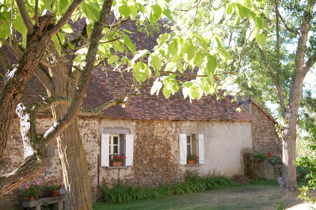 Le Mas D'En Haut Lussat Rom bilde