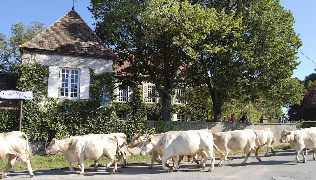 Le Mas D'En Haut Lussat Eksteriør bilde